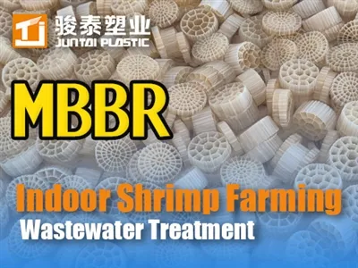 انڈور کیکڑے کاشتکاری کے لئے ایم بی بی آر گندے پانی کے علاج|ماہر گائیڈ