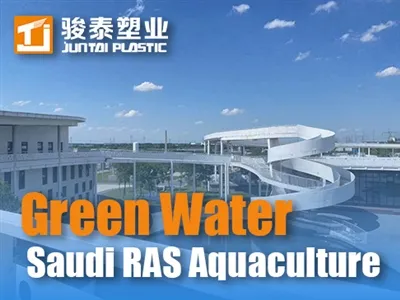 سعودی راس آبی زراعت میں سبز پانی: وجوہات ، خطرات اور ایم بی بی آر/طحالب حل