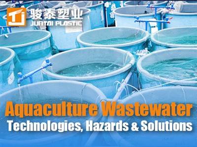 آبی زراعت کا گندے پانی کا علاج: ٹیکنالوجیز ، خطرات اور حل|رہنما